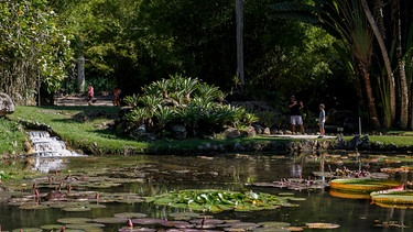 Großer Teich mit Besuchern | Bild: Picture alliance/dpa