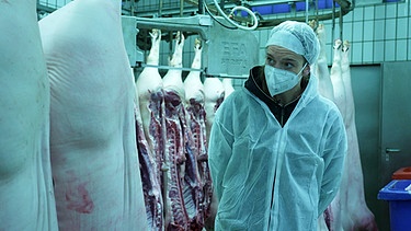 Reporterin Ann-Kathrin Wetter steht in einer Metzgerei neben aufgehängten Schweinehälften. | Bild: BR