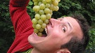 Willi Weitzel möchte wissen, wie aus Trauben Wein gemacht wird. Er verfolgt den Weg der Trauben bis in die Flasche. | Bild: BR/megaherz gmbh/