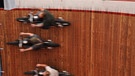 Dreierformation in der Steilwand des restaurierten Motodroms. | Bild: BR/Carla Kilian