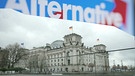 Die AfD im Bundestag und der Rechtsextremismus | Bild: BR