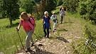 Jedermannwandern auf dem Altmühltal Panoramaweg | Bild: BR-Studio Franken
