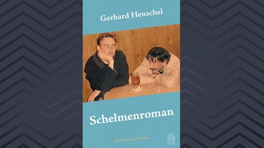 Cover: Schelmenroman von Gerhard Henschel | Bild: Hoffmann und Campe