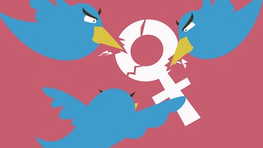 Feministinnen werden häufig im Netz attackiert | Bild: BR