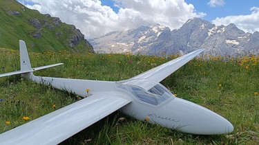 Modell-Segelfliegen: Die Libelle, ein sogenanntes Scale Modell | Bild: BR/Thomas Reichart