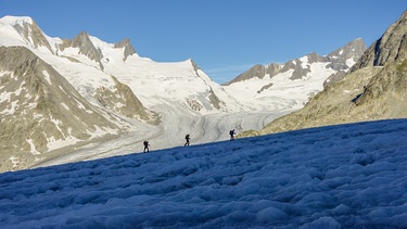 Bergführen in Zeiten des Klimawandels   | Bild: BR; Folkert Lenz