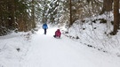 Rodeln am Grasberg bei Garmisch-Partenkirchen | Bild: BR