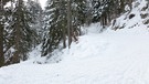 Rodeln am Grasberg bei Garmisch-Partenkirchen | Bild: BR