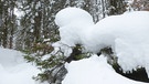 Rodeln am Grasberg bei Garmisch-Partenkirchen | Bild: BR