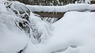 Rodeln am Grasberg bei Garmisch-Partenkirchen | Bild: BR