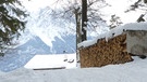 Rodeln am Grasberg bei Garmisch-Partenkirchen | Bild: BR