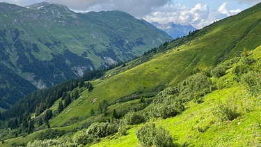 Saisonbeginn am Lechtaler Höhenweg | Bild: BR; Georg Bayerle