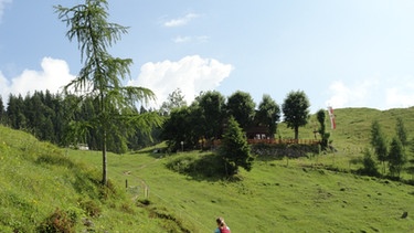 Der Taubensee - das blaue Auge des Chiemgaus  | Bild: BR; Manfred Wöll