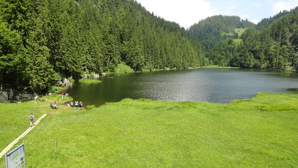 Der Taubensee - das blaue Auge des Chiemgaus  | Bild: BR; Manfred Wöll