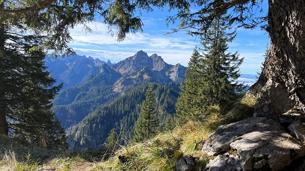 in den Ammergauern | Bild: BR; Georg Bayerle