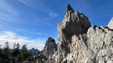 in den Ammergauern | Bild: BR; Georg Bayerle