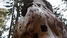 Herbstwandern rund um die Stepbergalm | Bild: BR; Georg Bayerle