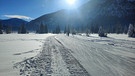 Langlaufen: Hans-Reicherl-Runde: Ab ins Naturschutzgebiet Weidmoos - der Laufrichtung im Uhrzeigersinn nach – im Sommer kommt man hier nicht hin | Bild: BR/Chris Baumann