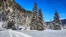 Langlaufen: Hans-Reicherl-Runde: Auch der Blick zurück ist beeindruckend mit dem Kletterfelsen „Frauenwasserl“ und in der Ferne das Hörnle | Bild: BR/Chris Baumann