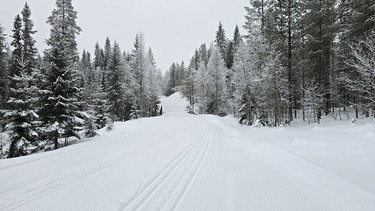 Mit Langlaufski unterwegs auf dem „Ole G-vegen“ | Bild: BR; Chris Baumann