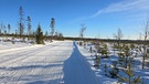 Der traditionsreiche Skilanglauf-Marathon in Schweden | Bild: BR; Chris Baumann