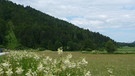 Unterwegs im Dreiländereck der Julischen Voralpen | Bild: BR; Georg Bayerle