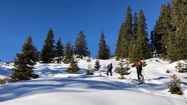 Skitour Lodron: Entspannter Zustieg zum Lodron  | Bild: BR/Iris Härdle