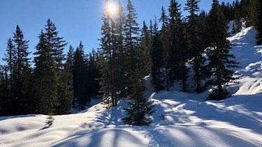 Skitour Lodron: Unberührter Schnee neben der Skispur
| Bild: BR/Iris Härdle