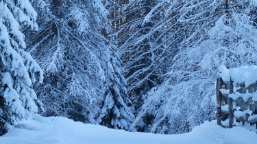 Weihnachtsstimmung unter den Geislerspitzen | Bild: BR; Georg Bayerle