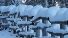 Weihnachtsstimmung unter den Geislerspitzen | Bild: BR; Georg Bayerle