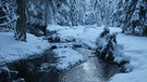 Weihnachtsstimmung unter den Geislerspitzen | Bild: BR; Georg Bayerle