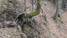 Ein fast vergessener Bergsport zwischen Winter und Frühling | Bild: BR; Georg Bayerle