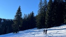 Skitourenklassiker zwischen Ofterschwang und Bolsterlang | Bild: BR; Georg Bayerle