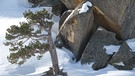 Unterwegs im Nationalpark Aiguestortes | Bild: BR; Georg Bayerle