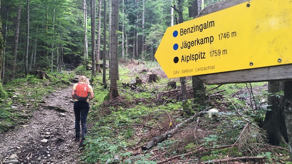 Mangfallgebirge: Aufstieg durch den Wald | Bild: BR/Elisabeth Tyroller