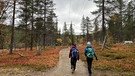 Beerensammeln in Lappland: Wildnisguide Jana Schett und Reporterin Petra Martin auf dem Weg zum Kellostapuli und auf der Suche nach Beeren. | Bild: BR/Petra Martin