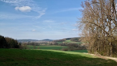 Wegemarkiererin: Blick in die Weite oberhalb von Sindlbach | Bild: BR/Ulrike Nikola