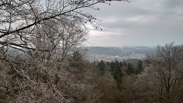 Felsensteig bei Schwend: Blick vom Gipfel des Buchenbergs über die Hügellandschaft der Oberpfalz | Bild: BR/Ullie Nikola