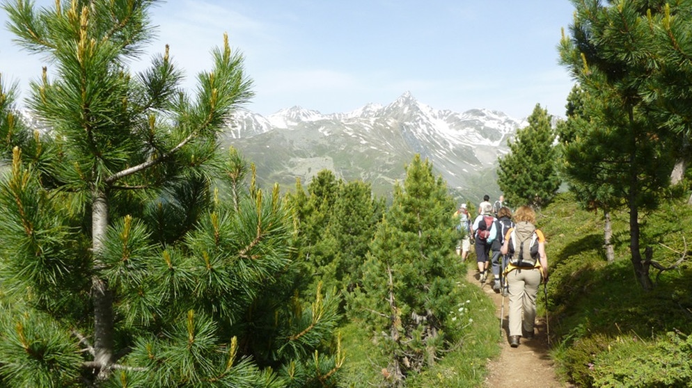 BR Heimat Wald und Gebirge BR Heimat Radio BR.de