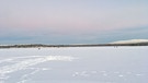 Winterwandern in Lappland: Die Lichtstimmung ist auch ohne Sonne beeindruckend: Der Himmel ist blau und an den Rändern rosa. Auf dem zugefrorenen See sind auch Rentiere unterwegs. | Bild: BR/Petra Martin