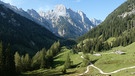 Heuschrecken: Auf der Bindalm leben 20 Heuschreckenarten. | Bild: BR/Georg Bayerle