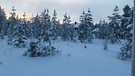 Winterwandern in Lappland: Schnee gibt's in Lappland reichlich, dazu der pastellfarbene Himmel - ein Wintertraum! | Bild: BR/Petra Martin