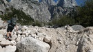 Heuschrecken: Suche im Geröllstrom | Bild: BR/Georg Bayerle