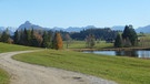 Seeger Seenrunde: Am Luimooser Weiher | Bild: BR/Andrea Zinnecker