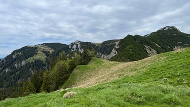 Geigelstein: Die Bergkämme um den Geigelstein sind wertvolle Lebensräume | Bild: BR/Georg Bayerle