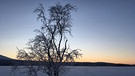 Winterwandern in Lappland: Ab etwa 14 Uhr wird's langsam wieder dunkler, die letzten Sonnenstrahlen ziehen sich zurück. | Bild: BR/Petra Martin