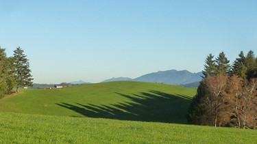 Seeger Seenrunde: Blick bis zum Hörnle | Bild: BR/Andrea Zinnecker