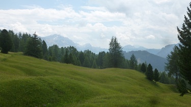 Vaciara-Alm unterm Peitlerkofel: Wellige Wiesen mit Blick bis zur Civetta | Bild: BR/Andrea Zinnecker