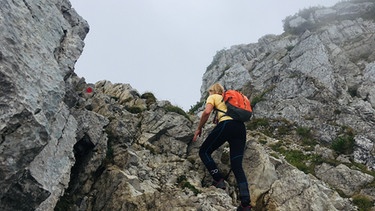 Mangfallgebirge: Aufstieg zum Gipfel der Aiplspitz | Bild: BR/Elisabeth Tyroller