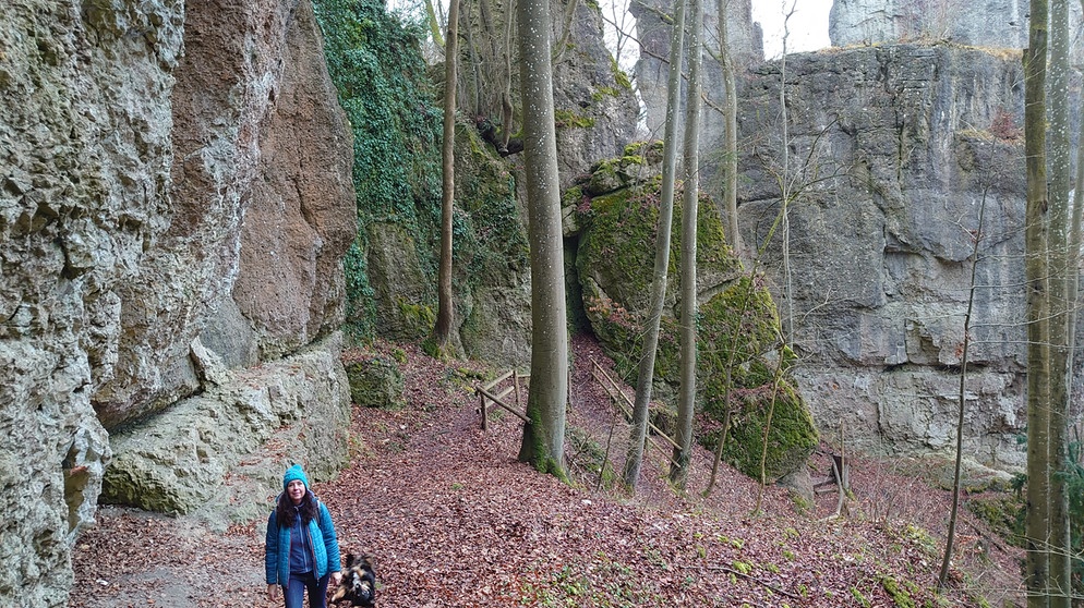 Unterwegs zwischen Felsensteig und Eibenwald | Bild: BR; Ulrike Nikola